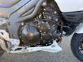 Triumph Tiger 1050 Blanc - thumbnail 9