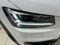 Audi Q2 30 TDI Business Bianco - thumbnail 6