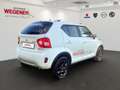 Suzuki Ignis IGNIS COMFORT HYBRID SITZH LED KLIMA Weiß - thumbnail 3