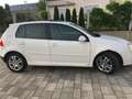 Volkswagen Golf Golf V  5-Türer 1.4 TSI Tour Standh Schiebed - thumbnail 11
