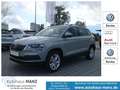 Skoda Karoq 1.0 TSI Ambition KLIMA LED ALU Grau - thumbnail 1