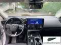 Lexus NX 300 NX Hybrid 4WD Premium IVA ESPOSTA - thumbnail 12