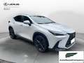 Lexus NX 300 NX Hybrid 4WD Premium IVA ESPOSTA - thumbnail 8