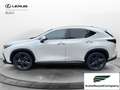 Lexus NX 300 NX Hybrid 4WD Premium IVA ESPOSTA - thumbnail 3