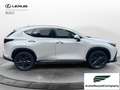 Lexus NX 300 NX Hybrid 4WD Premium IVA ESPOSTA - thumbnail 7