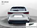Lexus NX 300 NX Hybrid 4WD Premium IVA ESPOSTA - thumbnail 5