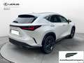 Lexus NX 300 NX Hybrid 4WD Premium IVA ESPOSTA - thumbnail 6