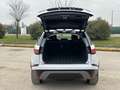 Land Rover Range Rover Velar 2.0d i4 mhev S 4wd 204cv auto Blanc - thumbnail 9