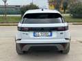 Land Rover Range Rover Velar 2.0d i4 mhev S 4wd 204cv auto Blanc - thumbnail 13