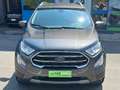 Ford EcoSport 1.0 EcoBoost 100 CV Titanium Коричневый - thumbnail 2