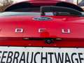 Ford Focus Turnier Active #WKR # Rückfahramera Rouge - thumbnail 32