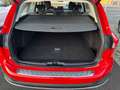 Ford Focus Turnier Active #WKR # Rückfahramera Rouge - thumbnail 27