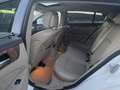 Mercedes-Benz CLS 350 CLS 350 CDI Shooting Brake 4MATIC Aut.- KEIN TAXI Weiß - thumbnail 20