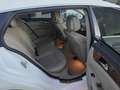 Mercedes-Benz CLS 350 CLS 350 CDI Shooting Brake 4MATIC Aut.- KEIN TAXI Weiß - thumbnail 18