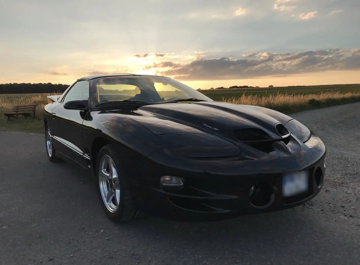 Pontiac Trans Am WS6 Targa mit 6-Gang Schaltung Schwarz - 1