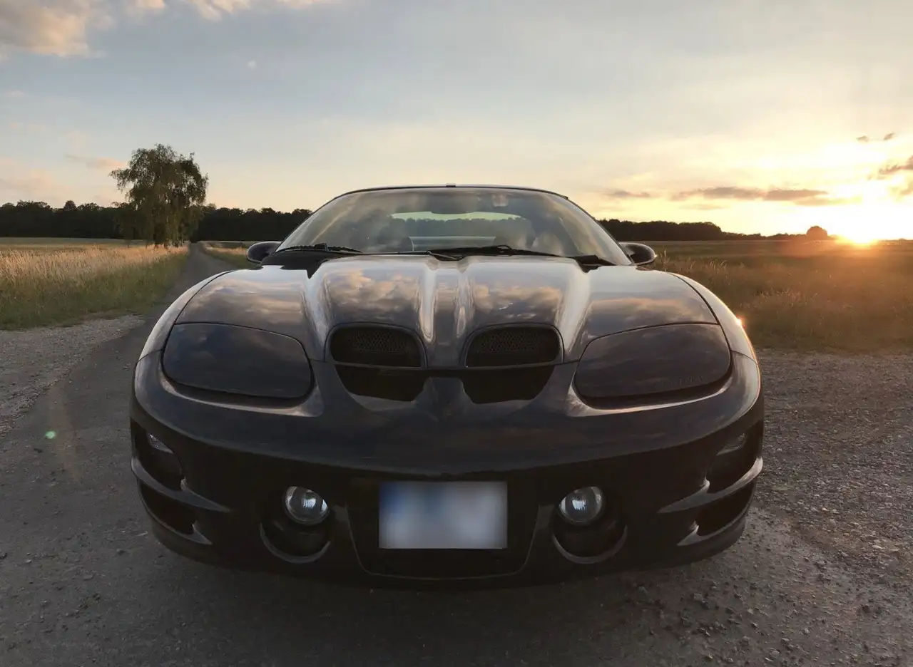 Pontiac Trans Am WS6 Targa mit 6-Gang Schaltung, foto 3