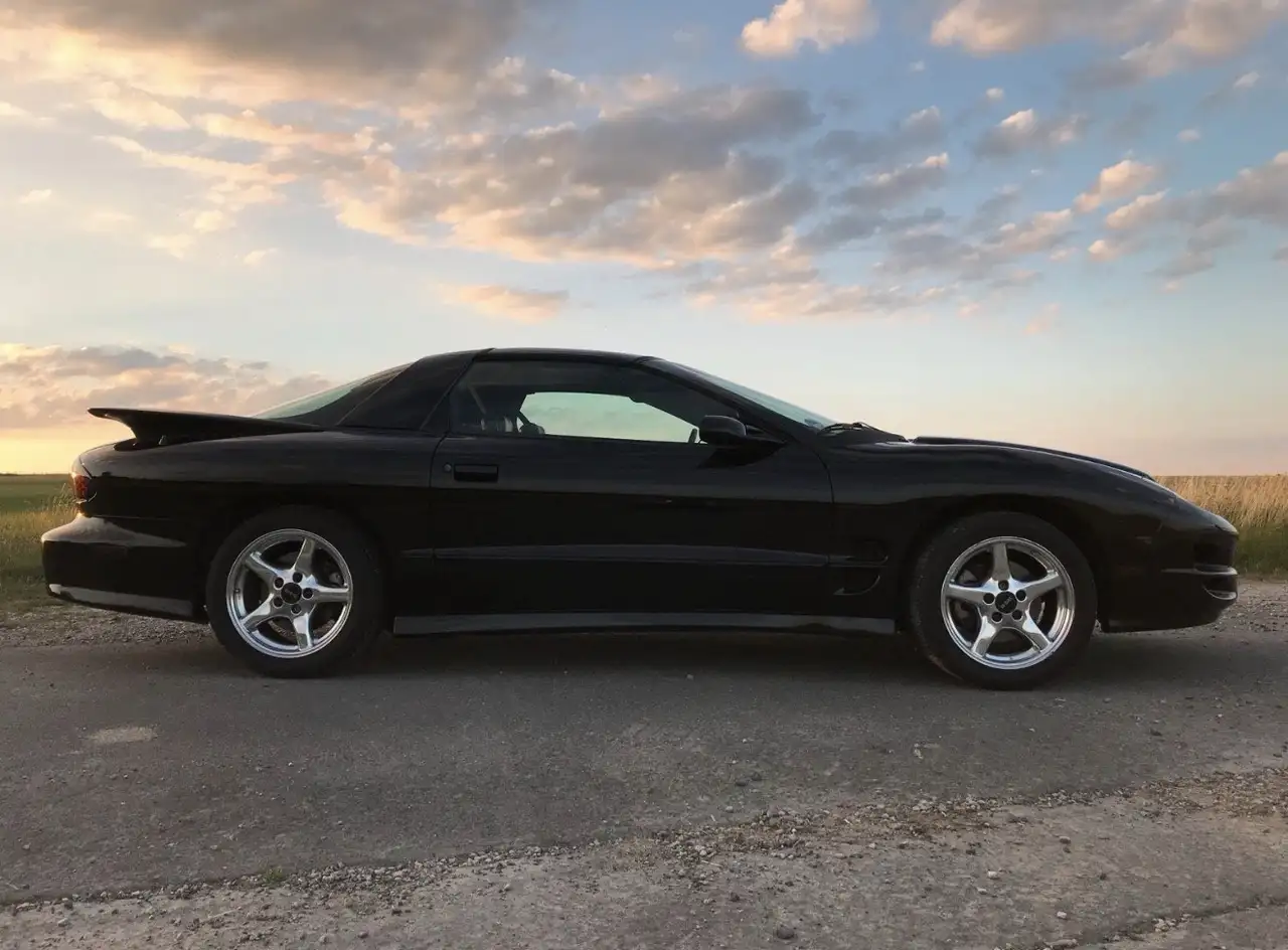 Pontiac Trans Am WS6 Targa mit 6-Gang Schaltung, foto 8