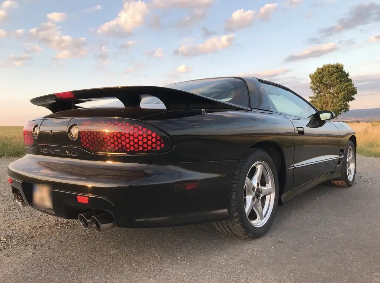 Pontiac Trans Am WS6 Targa mit 6-Gang Schaltung, foto 5