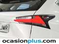 Lexus NX 300 300h Corporate 2WD Blanco - thumbnail 16
