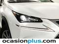 Lexus NX 300 300h Corporate 2WD Blanco - thumbnail 14