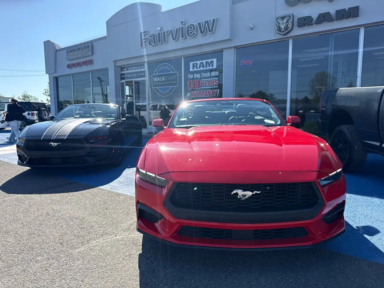 Ford Mustang fotografie Ford Mustang