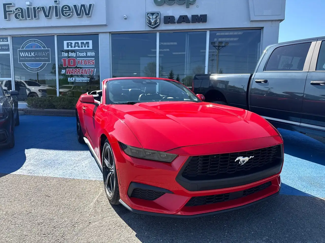 Ford Mustang fotografie Ford Mustang