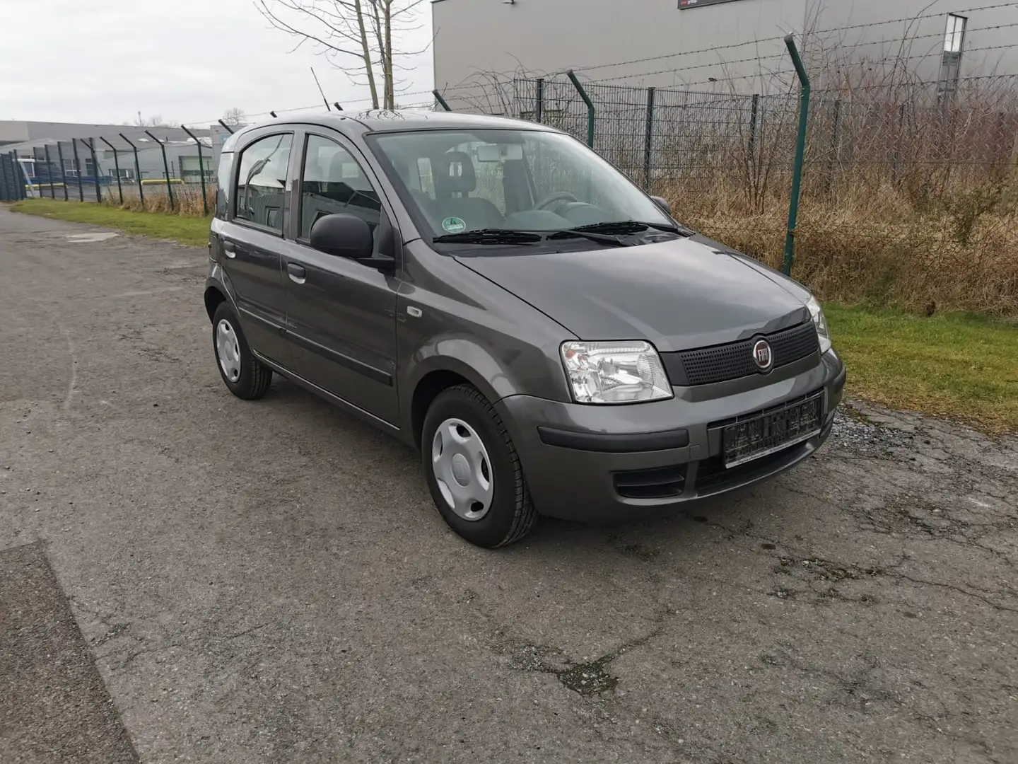 Fiat Panda 1.2 Dynamic Grau - 1