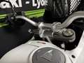 Ducati DesertX Blanco - thumbnail 6