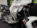 Ducati DesertX Blanco - thumbnail 7