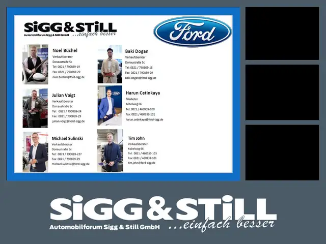 Ford B-Max 1.0 EcoBoost Trend KLIMA*SHZ*WSS HEIZB*ALU*
