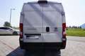 Fiat Ducato  33 140 Multijet L3H2 Klima/Kam/PDC/Navi Weiß - thumbnail 6