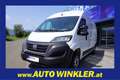 Fiat Ducato  33 140 Multijet L3H2 Klima/Kam/PDC/Navi Weiß - thumbnail 1