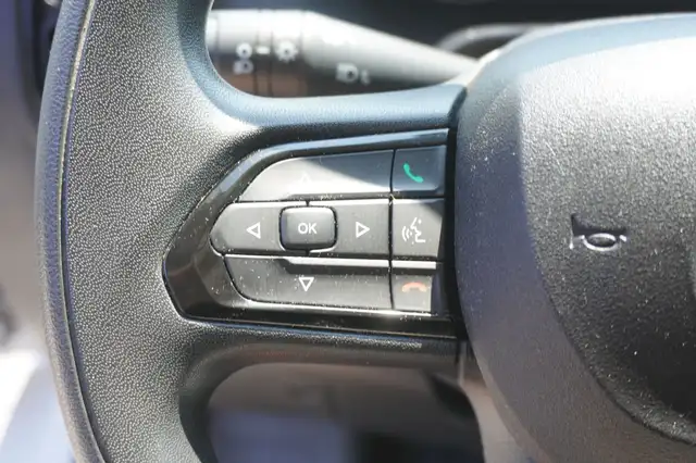 Fiat Ducato view 12
