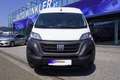 Fiat Ducato  33 140 Multijet L3H2 Klima/Kam/PDC/Navi Weiß - thumbnail 2