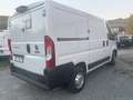 Fiat Ducato Blanc - thumbnail 1