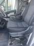 Fiat Ducato Blanc - thumbnail 15