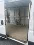 Fiat Ducato Blanc - thumbnail 10
