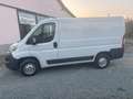 Fiat Ducato Blanc - thumbnail 2