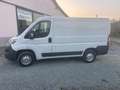 Fiat Ducato Blanc - thumbnail 6