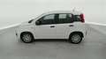 Fiat Panda 1.0i MHEV City Life CLIM / PDC AR Wit - thumbnail 3