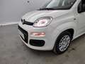 Fiat Panda 1.0i MHEV City Life CLIM / PDC AR Wit - thumbnail 15