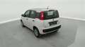 Fiat Panda 1.0i MHEV City Life CLIM / PDC AR Wit - thumbnail 2