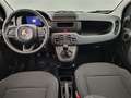 Fiat Panda 1.0i MHEV City Life CLIM / PDC AR Wit - thumbnail 8