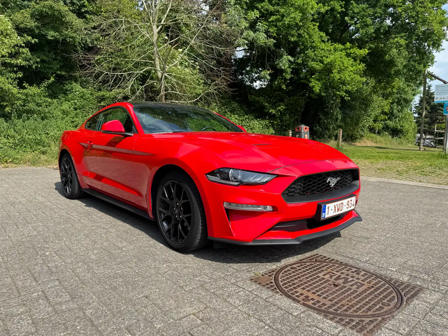 Ford Mustang Mustang 2.3 EcoBoost (EU6.2) Piros - 1