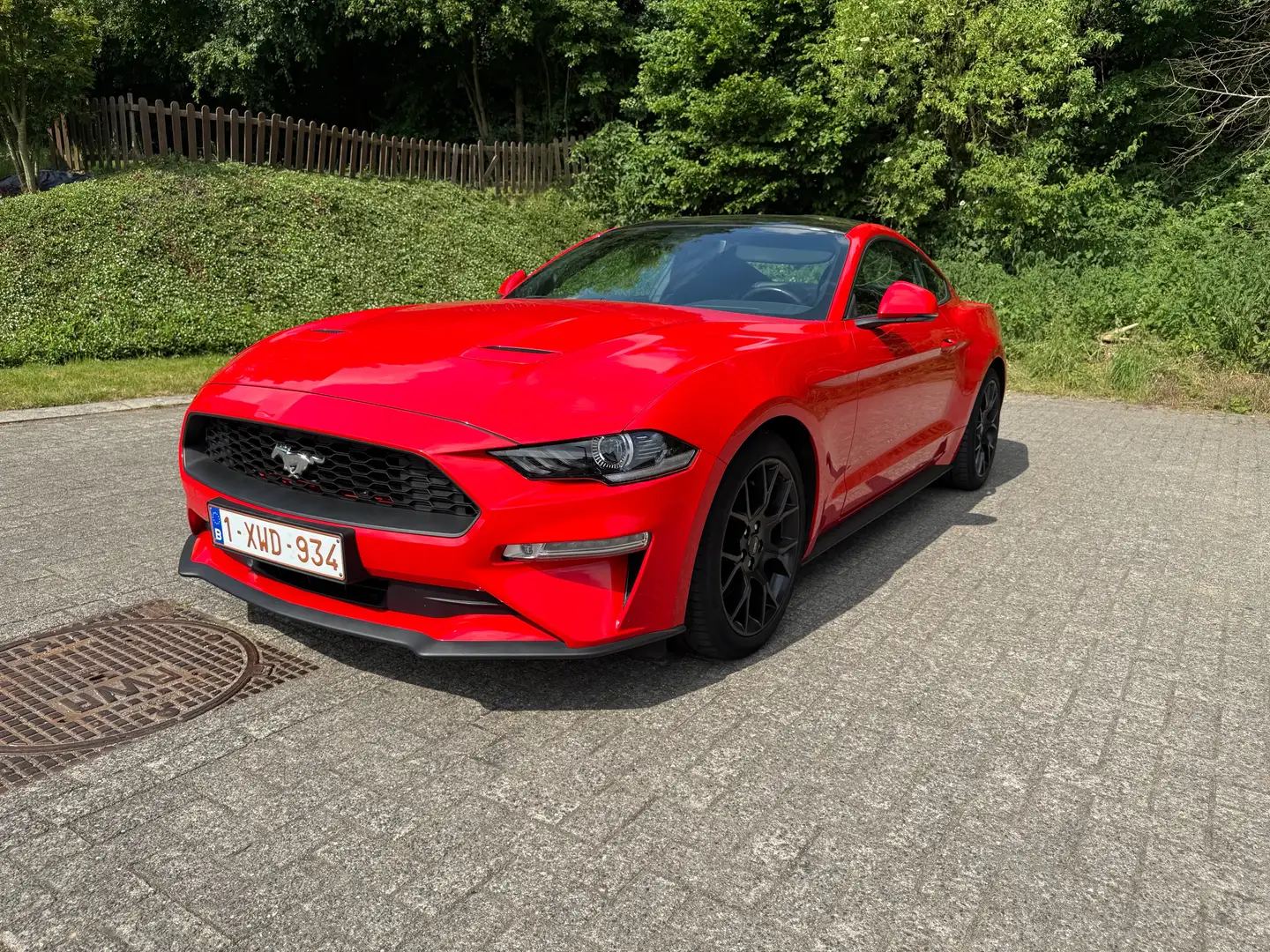 Ford Mustang Mustang 2.3 EcoBoost (EU6.2) Rot - 2