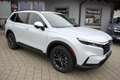 Honda CR-V 2.0 Advance e:HEV AWD Weiß - thumbnail 3