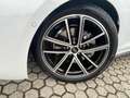 Audi A5 TFSI 110 kW S tronic S Line-no vinc-rata event 590 Bianco - thumbnail 8