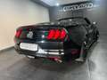 Ford Mustang 3.7 V6 305 CV CONVERTIBLE Nero - thumbnail 3