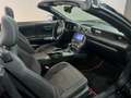 Ford Mustang 3.7 V6 305 CV CONVERTIBLE Nero - thumbnail 9