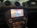 Ford Mustang 3.7 V6 305 CV CONVERTIBLE Nero - thumbnail 8